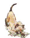 Image Name